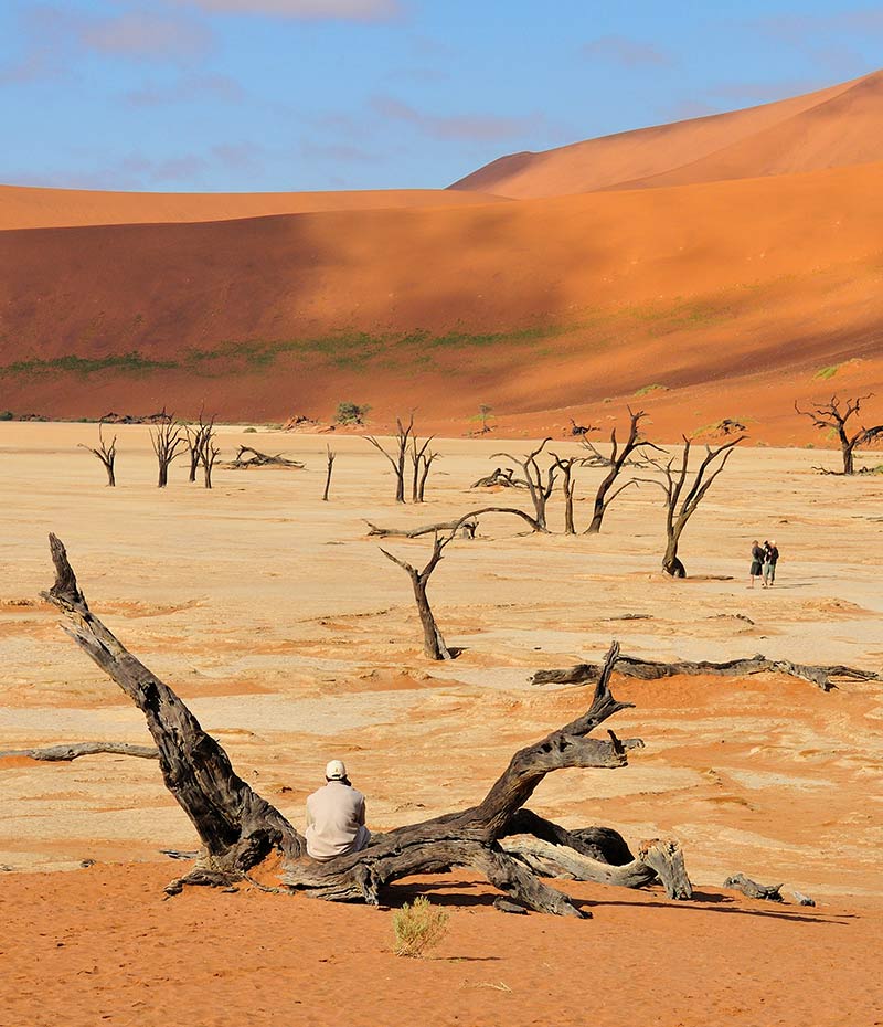 homem sentado em tronco no deserto da Namíbia durante viagem