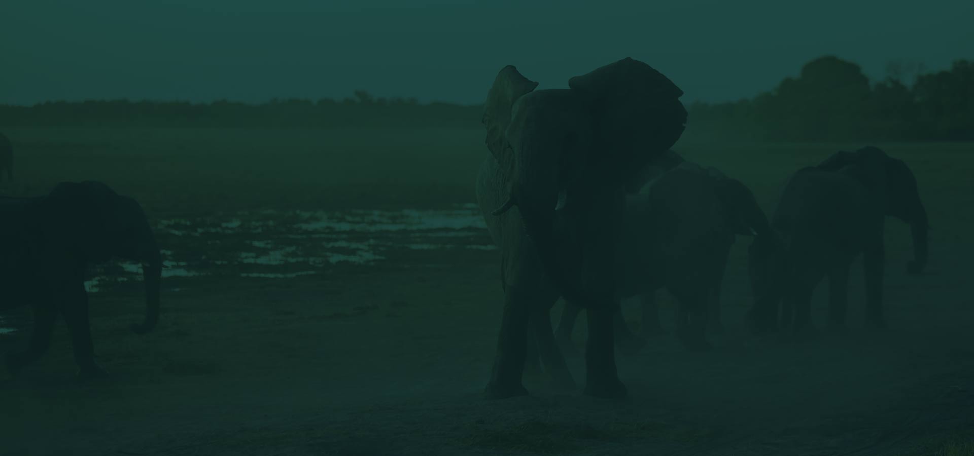 safári na Namíbia com paisagens da savana africana