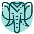 ícone