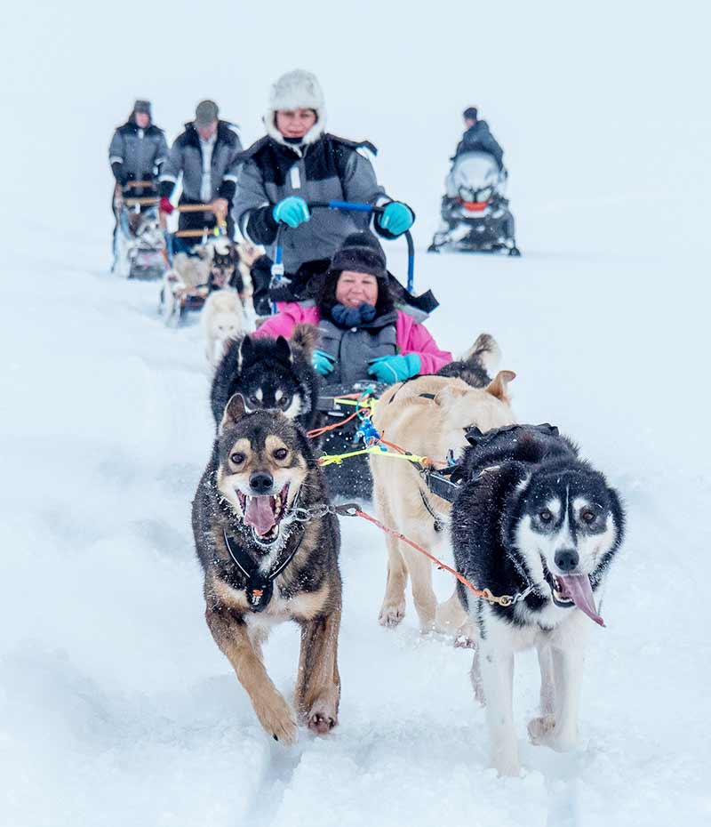 turista em trenó de neve na Noruega em paisagem ártica