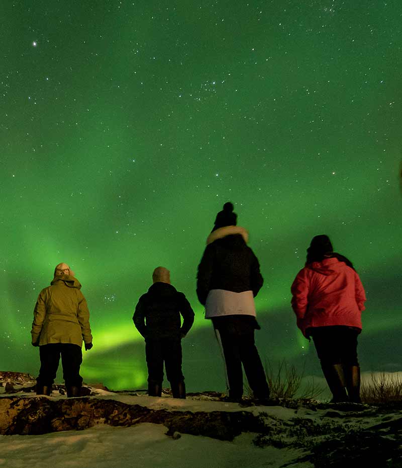grupo de viajantes observando a aurora boreal na Noruega