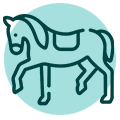 ícone cavalo