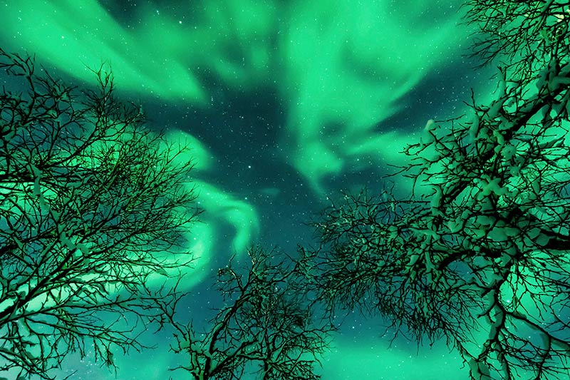 Aurora boreal na Noruega sobre uma paisagem de árvores nevadas